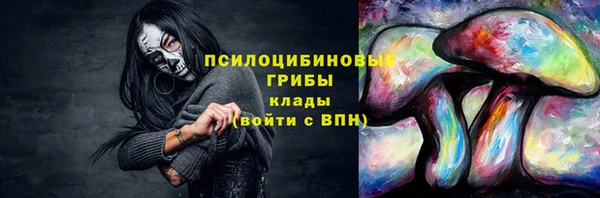Альфа ПВП Медногорск