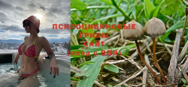 марки lsd Мегион