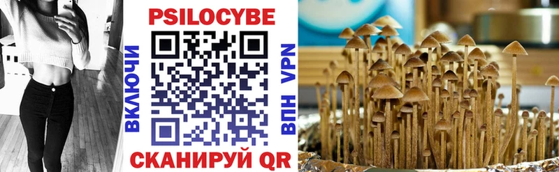 Галлюциногенные грибы мицелий  продажа наркотиков  Барнаул 